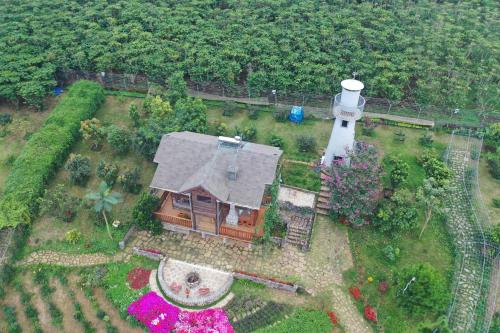 Zahrada ubytování kamely hill bảo lộc