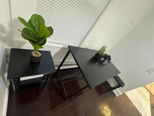 two black tables with plants on them in a room at Family-friendly for travelers in Warwick