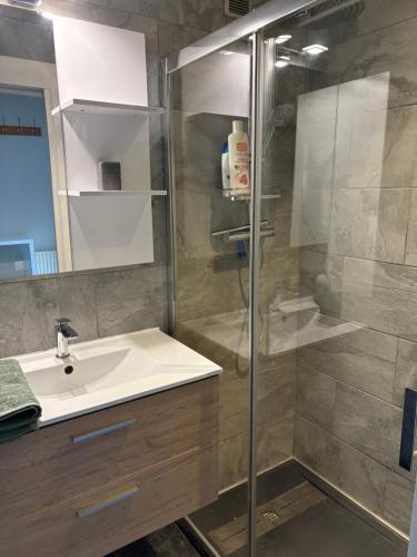une salle de bain avec un lavabo et une douche dans l'établissement Studio lumineux et élégant - parking gratuit, à Chambéry