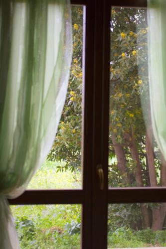 Κήπος έξω από το Agriturismo Rajata