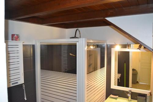 a bathroom with a shower with a mirror and a sink at Eden Kay in Les Trois-Îlets