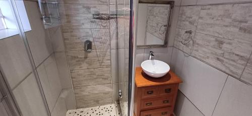 a bathroom with a shower and a sink and a sink at Q on First B&B in Johannesburg