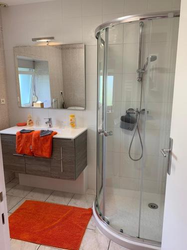 une salle de bain avec douche et lavabo dans l'établissement Le Mandarine, T2 proche plage de Morgat, à Crozon
