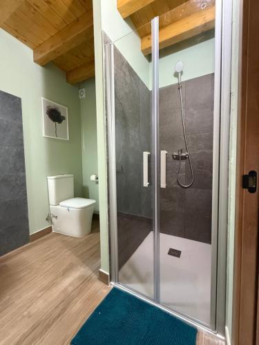 a bathroom with a shower with a toilet at Casona el mirador de toporias in Toporías