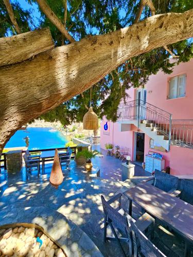 a table and benches under a tree near a pool at Niriides Hotel Apartments in Symi