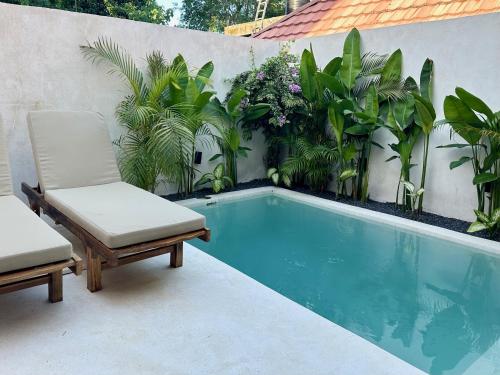 a small swimming pool with two chairs and plants at The Ulu Hills in Uluwatu