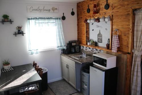 una piccola cucina con lavello e microonde di River Lane Cottage a Dunnville
