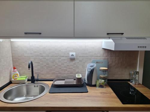 a kitchen counter top with a sink and a sink at Divna in Arandjelovac