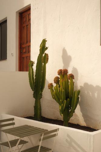 Imagen de la galería de Casa Cactus - heated pool and only 5 boutique apartments, en Icod de los Vinos