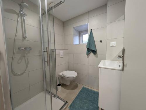 a bathroom with a shower and a toilet and a sink at Grande Maison Familiale in Soultz-Haut-Rhin
