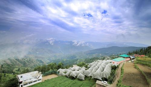 Naturlandskabet i nærheden af feriehuset