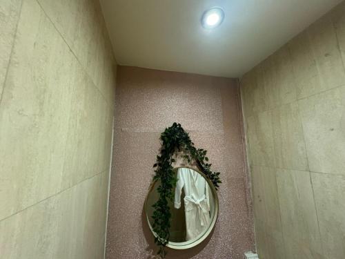 - un miroir dans la salle de bains pourvue d'une plante verte dans l'établissement Chic 2 bedroom with Huge Terrace and Pool Cannes, à Cannes