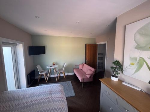 TV a/nebo společenská místnost v ubytování 1 double bed studio with private access and parking