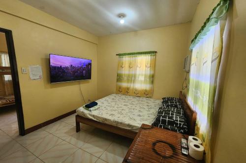 TV a/nebo společenská místnost v ubytování Larosa Hostel Puerto Princesa