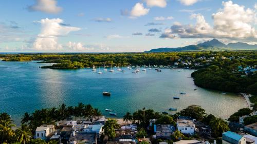an aerial view of a harbor with boats in the water at Le Dodo Appartements in Trou dʼ Eau Douce