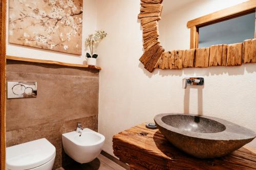 a bathroom with a stone sink and a toilet at Serendipity Hotel in Sauze dʼOulx