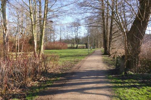 a dirt road in a park with trees and grass at Landhaus am See App. 2 in Pönitz am See