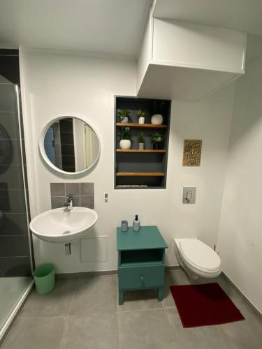 une salle de bain avec un lavabo, des toilettes et un miroir dans l'établissement T3 atypique au rez de chaussée, à Ramonville-Saint-Agne