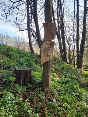 Un jardín fuera de Glamping Bionic healing village
