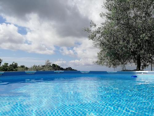 a large blue swimming pool with a tree in the background at Casa dei Mori oasi di pace in San Corrado di Fuori