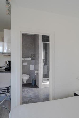 a bathroom with a toilet and a sink at La Résidence de l'Orangerie in Strasbourg
