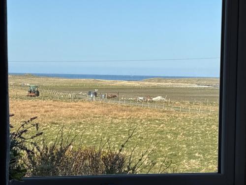 a view of a field with horses behind a fence at The Fisherman's Snug self catering North Uist in Paible