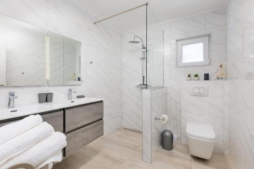 Gallery image of Adri Villa with private heated pool, jacuzzi, sauna & gym in Kras