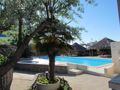 a tree in a planter next to a swimming pool at Grand Hotel Azzurra Club in Lido Adriano