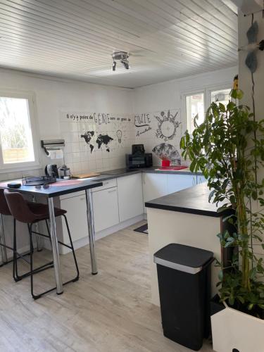 a kitchen with white cabinets and a table with a plant at Marseillan plage maison avec jardin in Marseillan