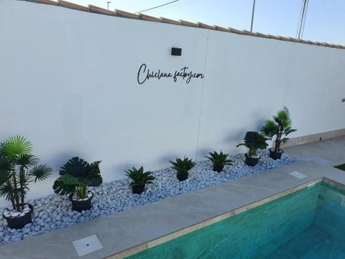 a row of potted plants on a wall next to a swimming pool at Chiclanafactory in Chiclana de la Frontera