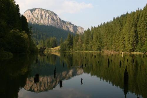 a reflection of a mountain in a lake with trees at Red Lake Apartman in Lacu Rosu