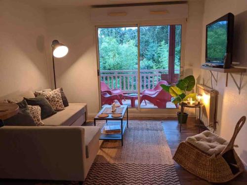 Capbreton 2 bedroom apartment between forest and beach