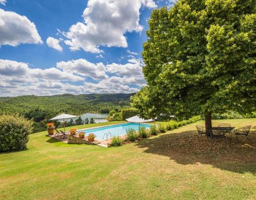 a swimming pool in a yard with a tree at Agriturismo Tenuta il Tasso in Rapolano Terme