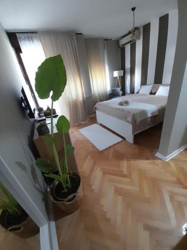 Un dormitorio con una cama y una planta en maceta. en HARMONY, en Žarkovo