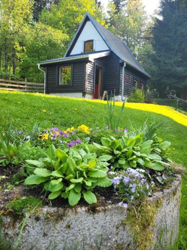 a garden with flowers in front of a house at Leśne Apartamenty in Zieleniec