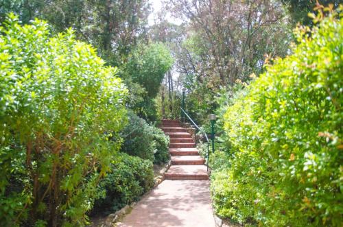 a set of stairs in a garden with bushes at Swimming Pool & Free Park Porto Rotondo Center in Porto Rotondo
