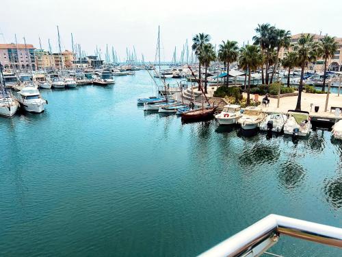 un groupe de bateaux amarrés dans un port de plaisance dans l'établissement Traum mit Meerblick, à Saint-Raphaël