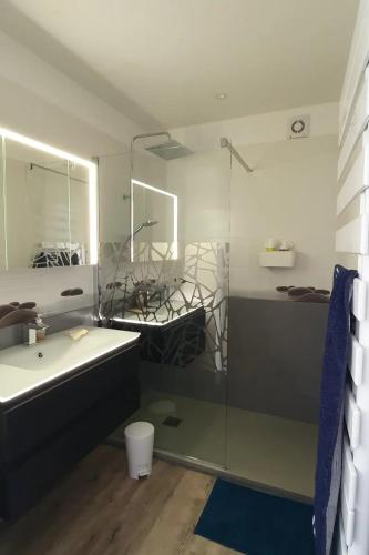 une salle de bain avec une douche en verre et un lavabo dans l'établissement Résidence trozoul Le Goëland qui chante, à Trébeurden