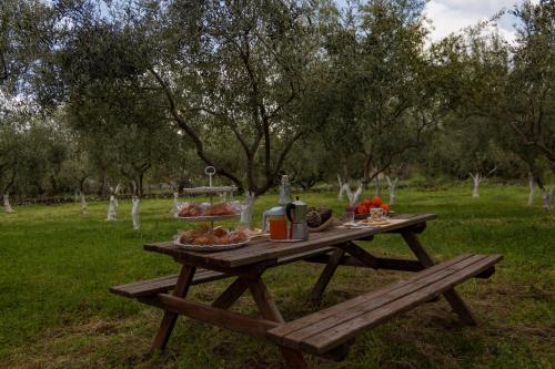 a picnic table with food on it in a park at Casa vacanze Etna in Santa Maria di Licodia