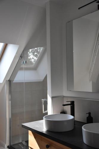 - une salle de bains avec deux lavabos au-dessus d'un comptoir dans l'établissement L'appartement du parc, à Nancy