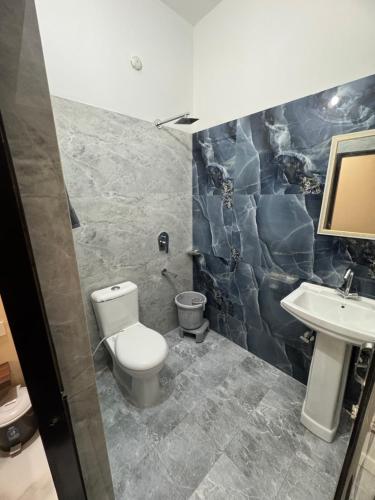 a bathroom with a toilet and a sink at Hotel Green Leaf in Jalandhar