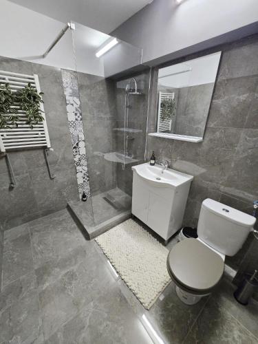 a bathroom with a toilet and a sink and a shower at BON TON Residence in Drobeta-Turnu Severin