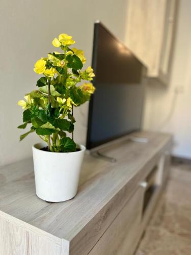 Appartamento SOLE&LAGO sul lago d'Iseo a Sarnicoにあるテレビまたはエンターテインメントセンター