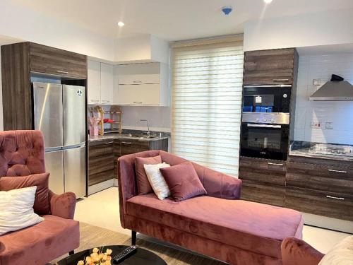 ラゴスにあるPink Apartmentのソファとキッチンのあるリビングルーム