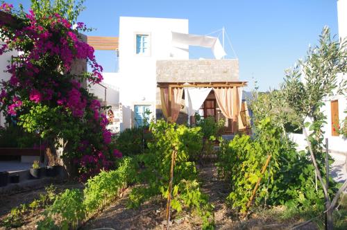 a garden in front of a building with purple flowers at Villa Patmos Netia in Patmos