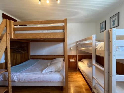 - 2 lits superposés dans une petite chambre avec un lit dans l'établissement Le Bellevue T3 - Orcières Merlette, à Orcières
