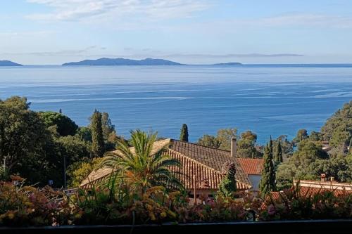 Apartment with terraces in Rayol-Canadel-sur-Mer