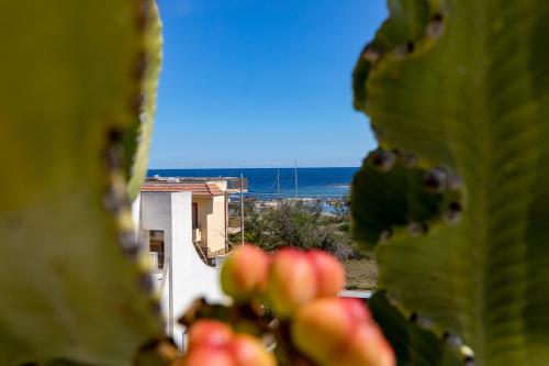 a view of a house and the ocean from a plant at Marzamemi Terrazza vista mare in Marzamemi