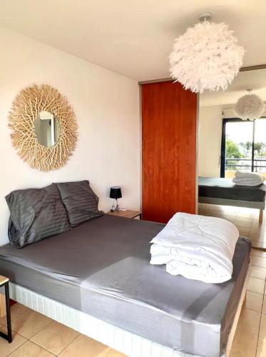 a bedroom with a bed and a mirror on the wall at Chez Gerard in Saint-Pierre