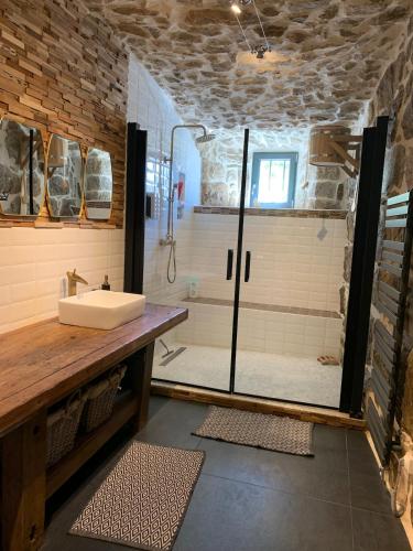La salle de bains est pourvue d'une douche avec un lavabo et une porte de douche en verre. dans l'établissement Les sources d avenas, à Saint-Jean-Roure